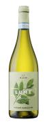 Ilauri `Lume` Trebbiano d`Abruzzo 2021