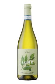 Ilauri `Lume` Trebbiano d`Abruzzo 2021