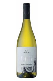 Ilauri Avalos Pecorino 2021