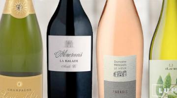 Bottles of champagne, red, rosé and white wines