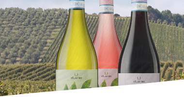 Three bottles of Ilauri wine on a background of vineyards