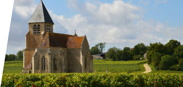 Domaine Jean-marc Brocard